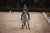 Owijki Dark Sky Equestrian Stockholm  (3).webp