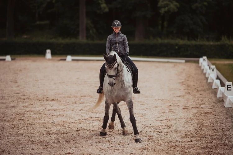 Owijki Dark Sky Equestrian Stockholm  (3).webp
