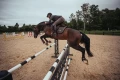 Czaprak Dark Sky skokowy Equestrian Stockholm  (6).webp