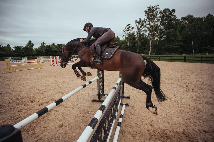 Czaprak Dark Sky skokowy Equestrian Stockholm  (6).webp