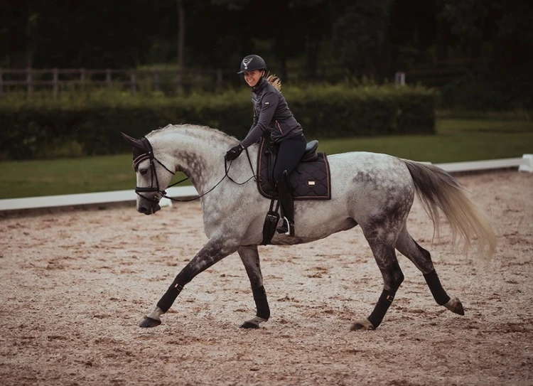 Czaprak ujeźdźeniowy Dark Sky Equestrian Stockholm  (3).webp
