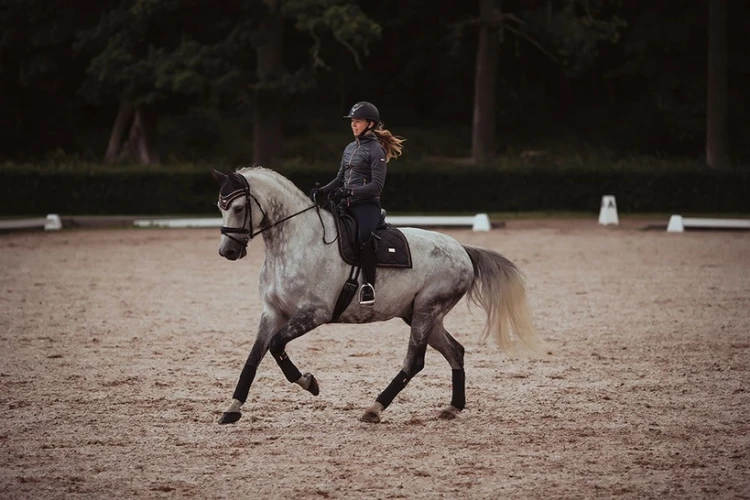 Czaprak ujeźdźeniowy Dark Sky Equestrian Stockholm  (5).webp