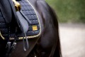 Equito Black Gold Dressage (4).jpg