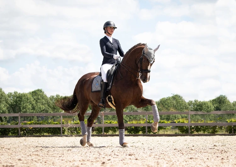 Owijki Crystal Grey Equestrian Stockholm  (3).webp
