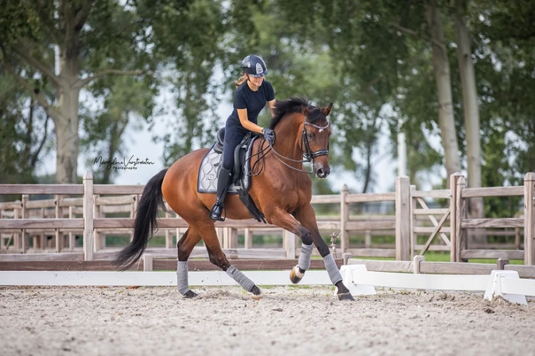 Owijki Crystal Grey Equestrian Stockholm  (4).webp
