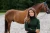 Golf Forest Green Equestrian Stockholm  (3).webp