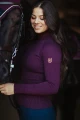 Golf Purple Gold Equestrian Stockholm  (2).webp