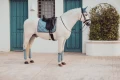 Owijki Steel Blue Equestrian Stockholm  (1).webp