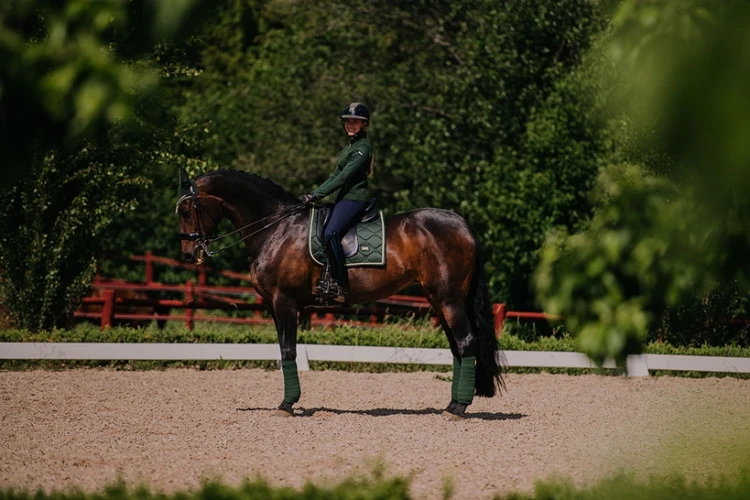 Czaprak Forest Green dressage Equestrian Stockholm  (5).webp