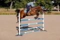 Czaprak Steel Blue  jump equestrian stockholm  (1).webp