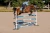 Czaprak Steel Blue  jump equestrian stockholm  (1).webp