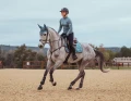 Czaprak Steel Blue  jump equestrian stockholm  (3).webp