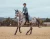 Czaprak Steel Blue  jump equestrian stockholm  (3).webp