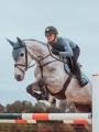 Czaprak Steel Blue  jump equestrian stockholm  (5).webp