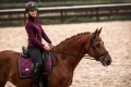 Czaprak Purple Gold equestrian Stockholm  (1).webp