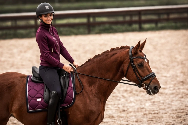 Czaprak Purple Gold equestrian Stockholm  (1).webp