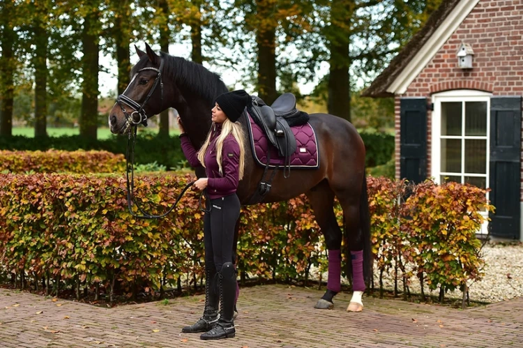 Czaprak Purple Gold equestrian Stockholm  (3).webp