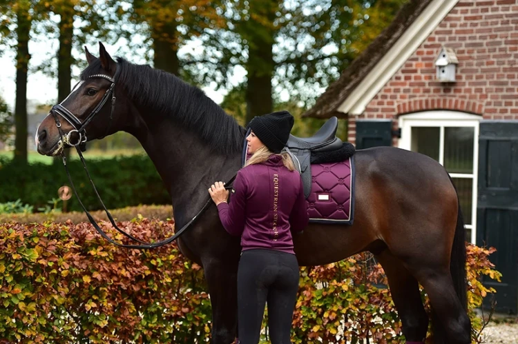 Czaprak Purple Gold equestrian Stockholm  (4).webp