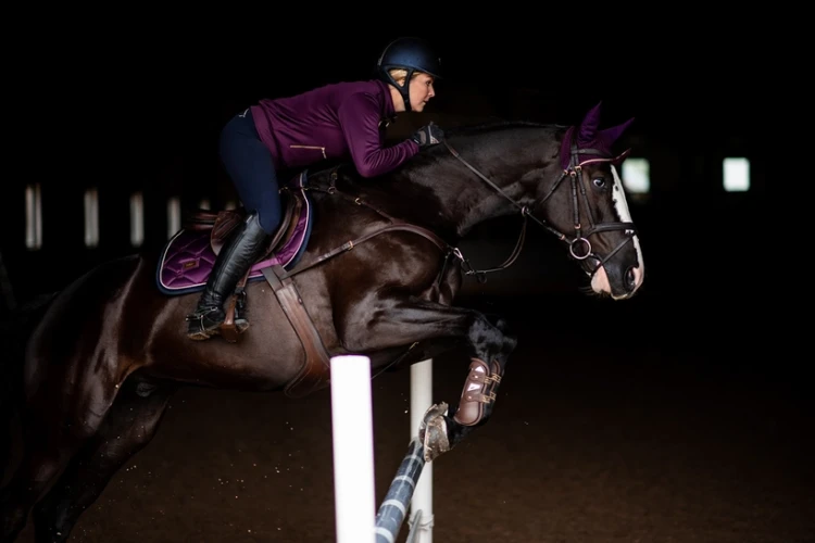 Czaprak Purple Gold jump Equestrian Stockholm  (1).webp