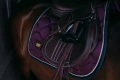Czaprak Purple Gold jump Equestrian Stockholm  (3).webp