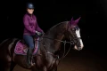 Czaprak Purple Gold jump Equestrian Stockholm  (5).webp