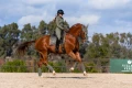 Owijki Evening Haze Equestrian STockholm  (4).webp