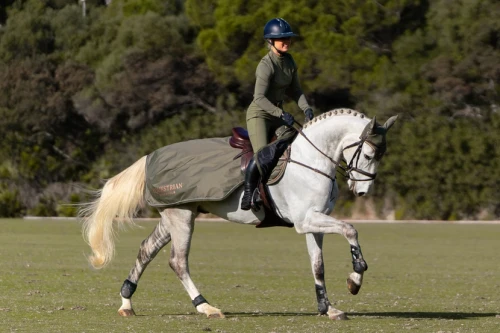 Derka treningowa Evening Haze Equestrian STockholm  (2).webp