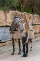 Bluza Trinity Sportive Chantelle Equestrian Stockholm  (5).webp
