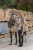 Bluza Trinity Sportive Chantelle Equestrian Stockholm  (5).webp