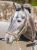Kantar Sportive Chantelle Equestrian Stockholm  (1).webp