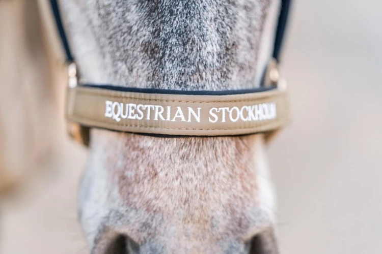 Kantar Sportive Chantelle Equestrian Stockholm  (2).webp