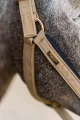Kantar Sportive Chantelle Equestrian Stockholm  (3).webp