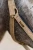 Kantar Sportive Chantelle Equestrian Stockholm  (3).webp
