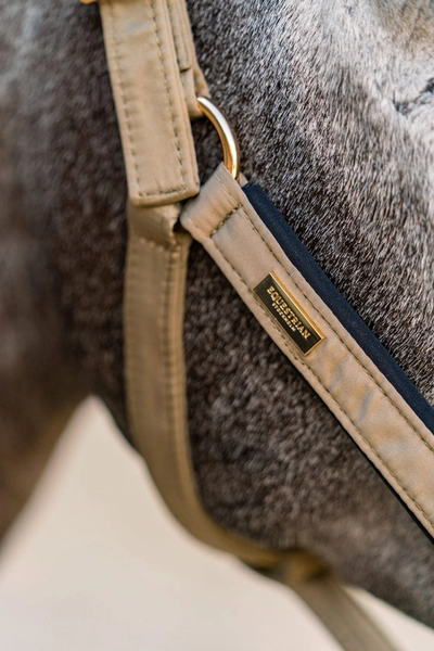 Kantar Sportive Chantelle Equestrian Stockholm  (3).webp