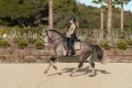 Owijki Sportive Chantelle Equestrian Stockholm  (3).webp