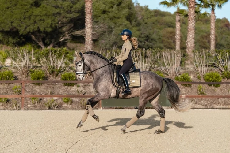 Owijki Sportive Chantelle Equestrian Stockholm  (3).webp
