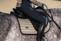 Czaprak Sportive Chantelle Jump Equestrian Stockholm  (2).webp