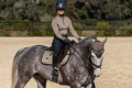 Czaprak Sportive Chantelle Jump Equestrian Stockholm  (4).webp