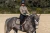 Czaprak Sportive Chantelle Jump Equestrian Stockholm  (4).webp