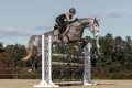 Czaprak Sportive Chantelle Jump Equestrian Stockholm  (5).webp