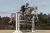 Czaprak Sportive Chantelle Jump Equestrian Stockholm  (5).webp