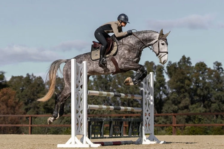 Czaprak Sportive Chantelle Jump Equestrian Stockholm  (5).webp