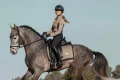 Czaprak Sportive Chantelle Dressage Equestrian Stockholm  (2).webp