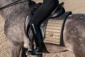 Czaprak Sportive Chantelle Dressage Equestrian Stockholm  (3).webp