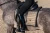Czaprak Sportive Chantelle Dressage Equestrian Stockholm  (3).webp