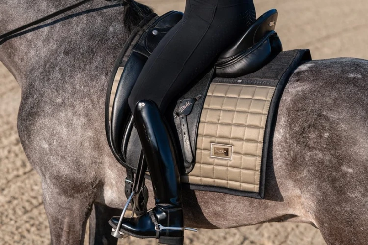 Czaprak Sportive Chantelle Dressage Equestrian Stockholm  (3).webp