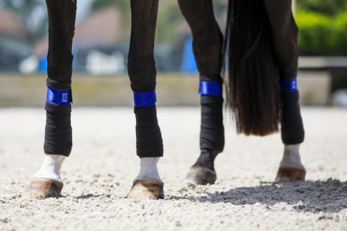 Owijki Royal Blue Equito  (6).jpg