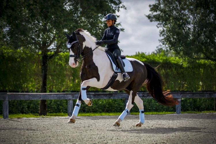 Owijki Morning Sky Equito  (3).jpg