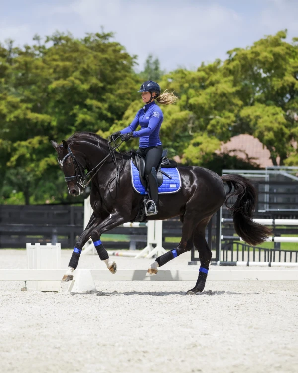 Czaprak Royal Blue Equito  (1).jpg
