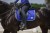 Czaprak Royal Blue Equito  (2).jpg